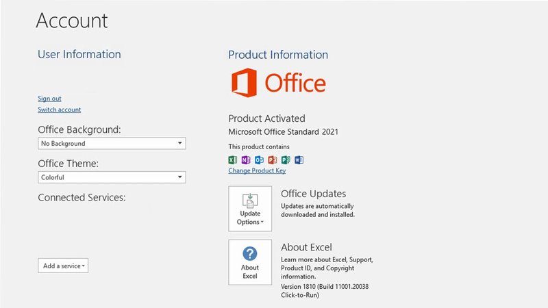 Microsoft Office 2021 Standard 1 User PC
