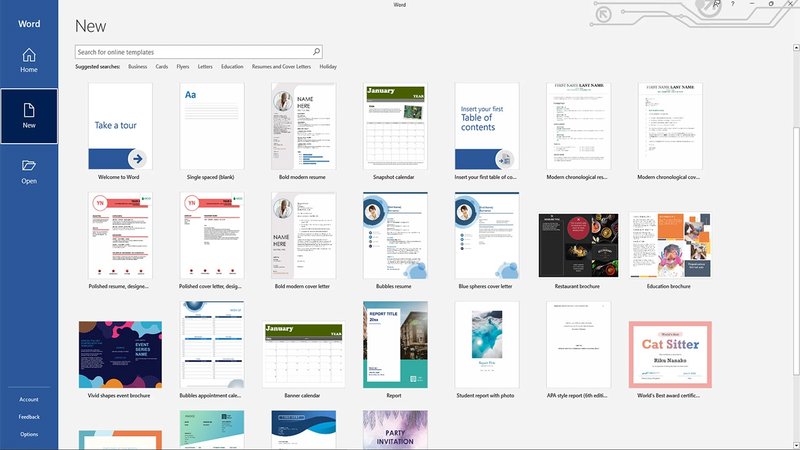 Microsoft Office Word - Home and Business 2019 PC